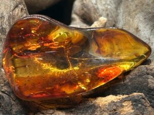 Pierre de Soin – Ambre Baltique