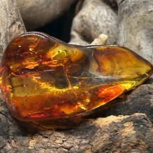 Pierre de Soin – Ambre Baltique