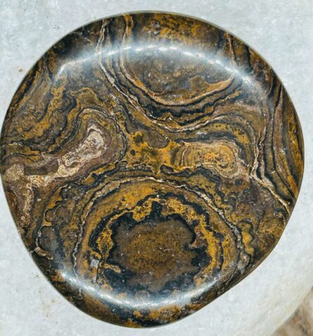 Pierre de Soin – Stromatolithe (Canada)