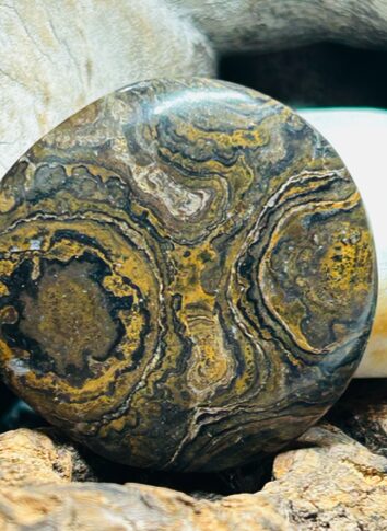 Pierre de Soin – Stromatolithe (Canada) – Image 2