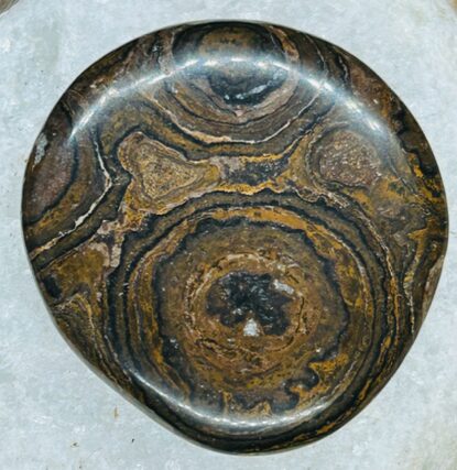 Pierre de Soin – Stromatolithe (Canada) – Image 3