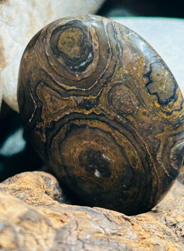 Pierre de Soin – Stromatolithe (Canada) – Image 4