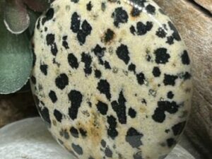 Pierre de Soin – Jaspe Dalmatien (Mexique)