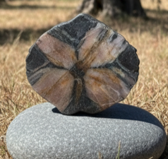 Pierre de Soin – Chiastolite / Andalousite (4,4 × 4,1 cm)