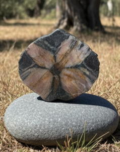 Pierre de Soin – Chiastolite / Andalousite (4,4 × 4,1 cm)