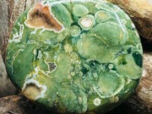 Pierre de Soin – Ryolite du Mexique (Champignons Fossilisés)