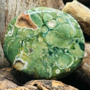 Pierre de Soin – Ryolite du Mexique (Champignons Fossilisés)