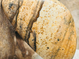 Pierre de Soin – Jaspe Paysage (Afrique du Sud)