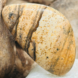 Pierre de Soin – Jaspe Paysage (Afrique du Sud)