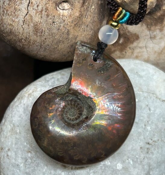 Ammolite Opalisée Naturelle – Pendentif Fossile – Madagascar