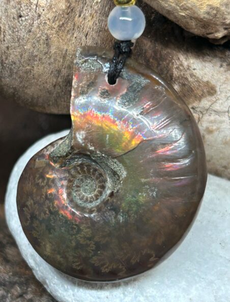 Ammolite Opalisée Naturelle – Pendentif Fossile – Madagascar – Image 3